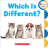 Which is Different? (Rookie Toddler)
