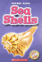 Sea Shells (Blastoff! Readers: Oceans Alive)