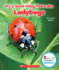 It's a Good Thing There Are Ladybugs (Rookie Read-About Science: It's a Good Thing...)