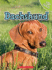 Dachshund