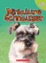 Miniature Schnauzer (Top Dogs (Children's Press) (Library))