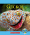Geckos (Nature's Children)