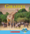 Giraffes (Nature's Children)