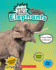 Elephants (Wild Life Lol! )