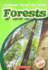 Forests (Blastoff! Readers: Learning About the Earth: Level 3)