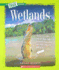 Wetlands (True Books: Ecosystems (Paperback))