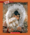 The Inuit (a True Book: American Indians) (a True Book (Relaunch))