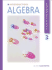 Introductory Algebra (With Cd-Rom)