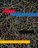 Drugs: an Introduction Abadinsky, Howard