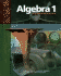 South-Western Algebra 1: an Integrated Approach, Student Edition
