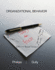 Organizational Behavior: Tools for Success, 2e