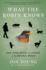 What the Robin Knows Format: Paperback