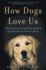 How Dogs Love Us: a Neuroscientist and His Adopted Dog Decode the Canine Brain