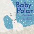 Baby Polar: a Baby Polar Bear's First Snowy Adventure