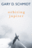 Orbiting Jupiter: a Heartfelt Coming-of-Age Novel of a Troubled Teen, Foster Family Bonds, and Friendship