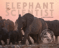 The Elephant Scientist (Scientists in the Field Series)
