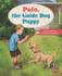 Polo the Guide Dog Puppy: Leveled Reader Orange Level 15 (Pm)