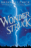 Wonderstruck (Schneider Family Book Award-Middle School Winner)