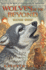 Watch Wolf (Wolves of the Beyond #3): Volume 3