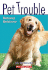 Runaway Retriever (Pet Trouble #1)