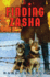 Finding Zasha (Paperback) (Scholastic)