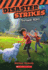 Disaster Strikes #2: Tornado Alley (2)