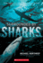 Surrounded By Sharks