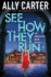 See How They Run (Embassy Row, Book 2) (2)