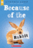 Because of the Rabbit (Scholastic Gold)