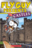 Fly Guy Presents: Castles (Scholastic Reader, Level 2)