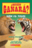 �Qui�n Ganar�? Le�n Vs. Tigre (Who Would Win? : Lion Vs. Tiger) (Spanish Edition)
