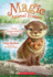 Chloe Slipperslide's Secret (Magic Animal Friends #11) (11)