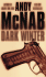 Dark Winter (Nick Stone 06)