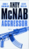 Aggressor: