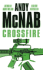 Crossfire (Nick Stone 10)