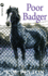 Poor Badger