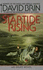 Startide Rising (Uplift Trilogy)