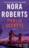 Public Secrets: a Novel
