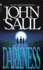 Darkness: a Novel