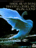 Where Are My Swans, Whooping Cranes, and Singing Loons?