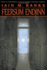 Feersum Endjinn: a Novel