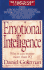 Emotional Intelligence: Why It Can Matter More Than Iq
