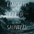 Lincoln in the Bardo: a Novel
