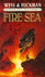 Fire Sea: Death Gate Cycle Vol 3