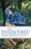 The Endless Forest: 6 (Wilderness)