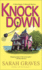 Knockdown: a Home Repair is Homicide Mystery