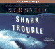 Shark Trouble