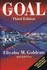 The Goal: a Process of Ongoing Improvement