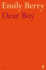Dear Boy (Faber Poetry)