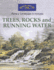 Trees, Rocks and Running Water (Windsor & Newton Paint a Landscape in Minutes)